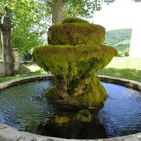 Chateau De Beaucouse Thoard Zewnętrze zdjęcie